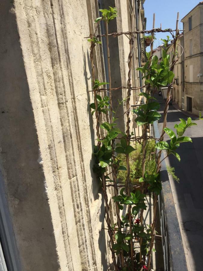 דירות מונפלייה Chez Noelle Et Emmanuel מראה חיצוני תמונה